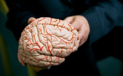 Brain Research New Zealand awards Strategic Grants