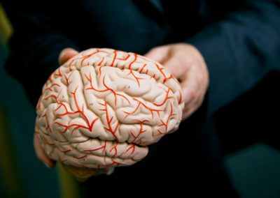 Brain Research New Zealand awards Strategic Grants